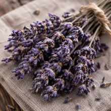 Lavanda
