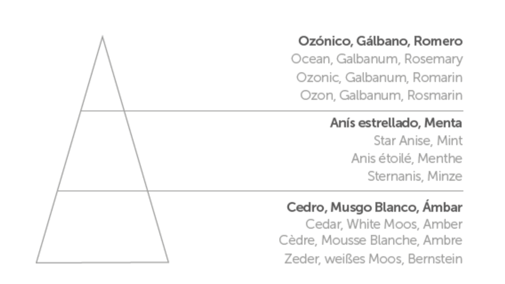 Vela Cortell 004 - OCÉANO